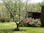 thumb_SR-spring-bird-house
